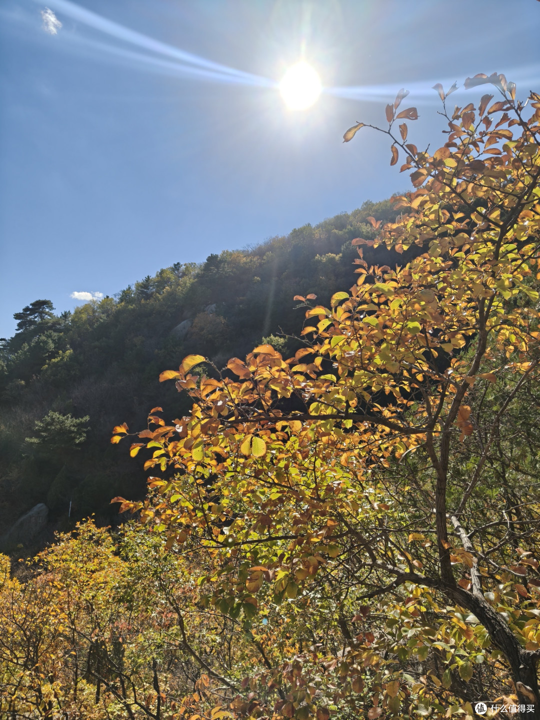 海棠依旧,知否知否?阜新蒙古族自治县海棠山风景区取经式半日游