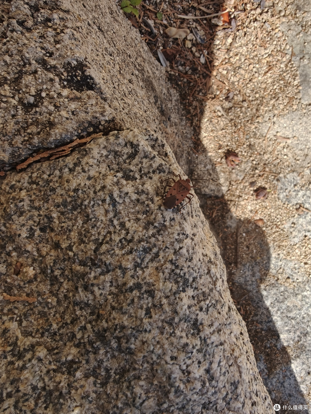 海棠依旧,知否知否?阜新蒙古族自治县海棠山风景区取经式半日游
