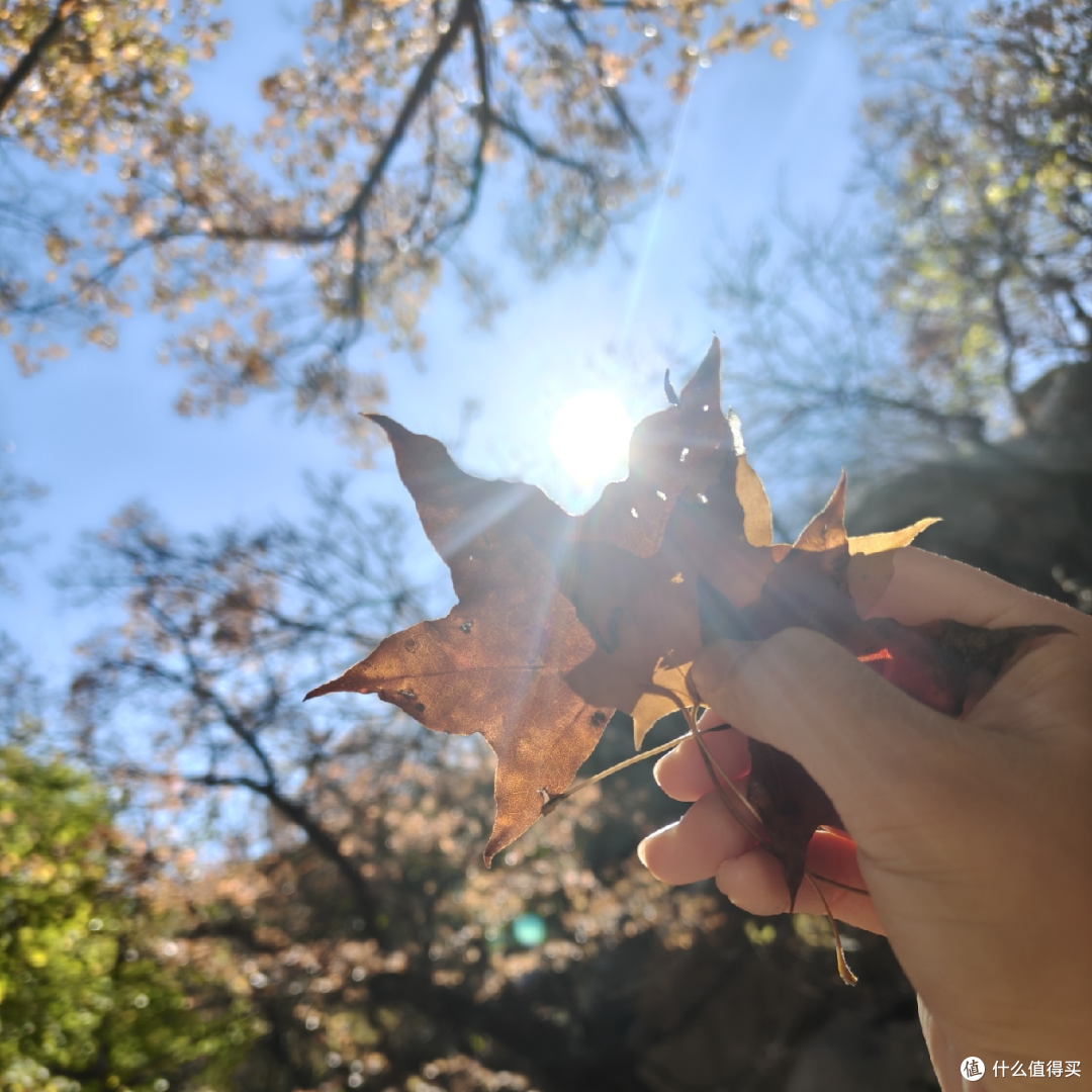 海棠依旧,知否知否?阜新蒙古族自治县海棠山风景区取经式半日游