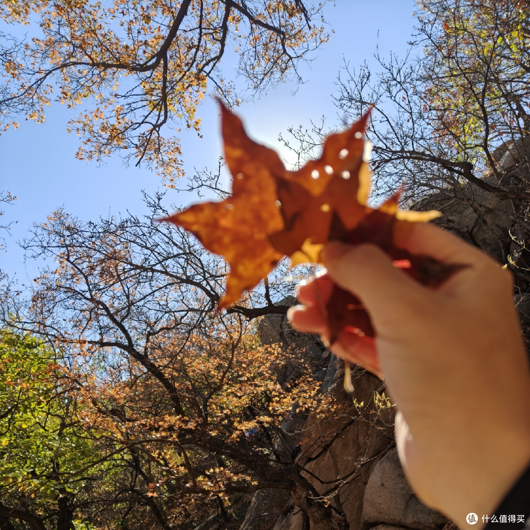 海棠依旧,知否知否?阜新蒙古族自治县海棠山风景区取经式半日游