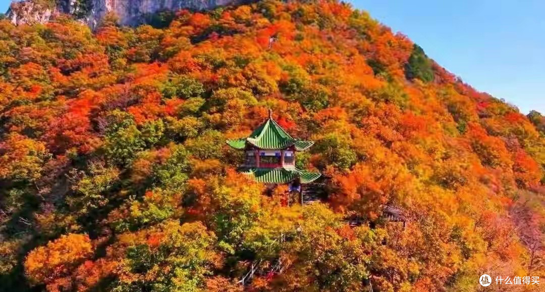 淡干海参怎么挑:三个品牌的标签核对记录