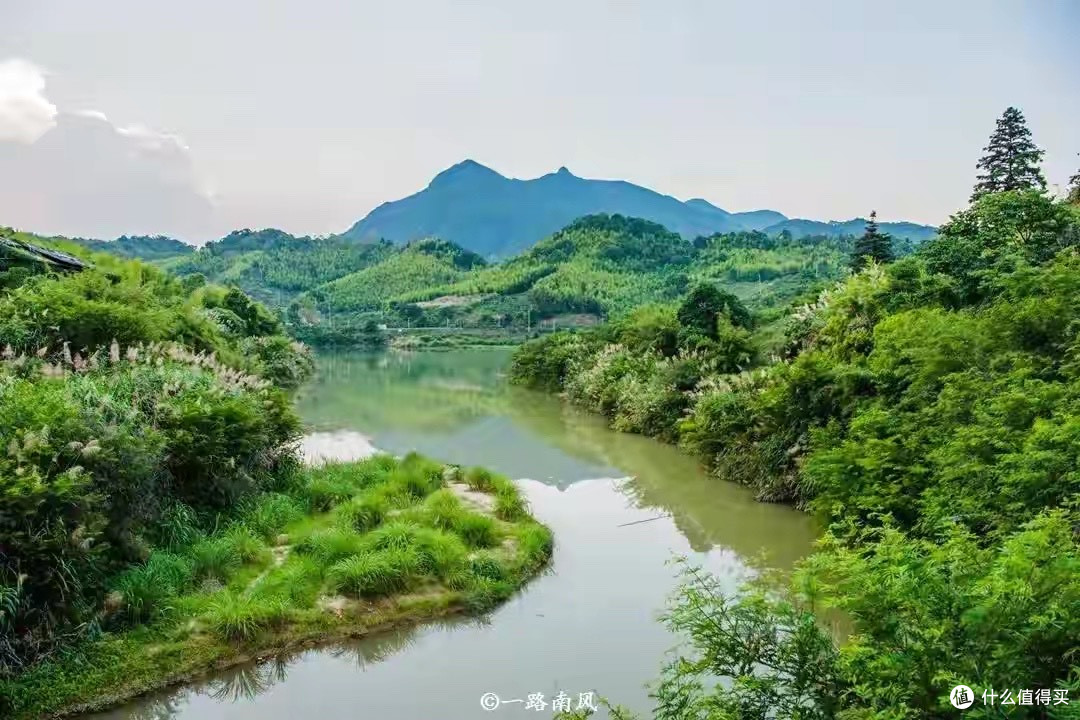 蛋白粉选购指南:五款蛋白粉不同蛋白路线怎么比较