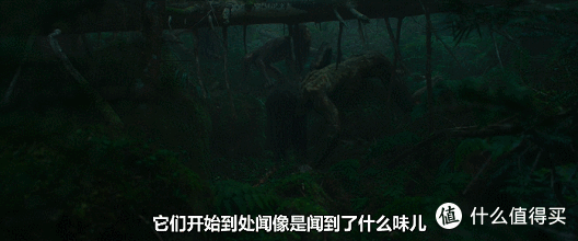 年度翻车大作？我不同意！
