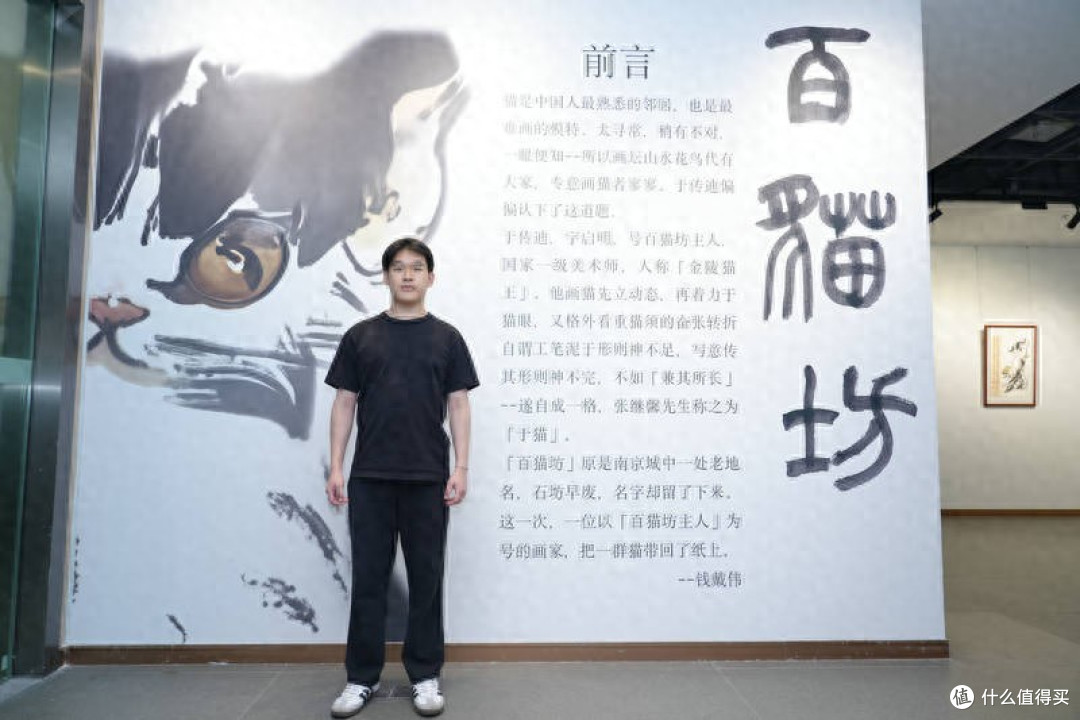 「百猫坊——于传迪个展」在凤凰美术馆开展
