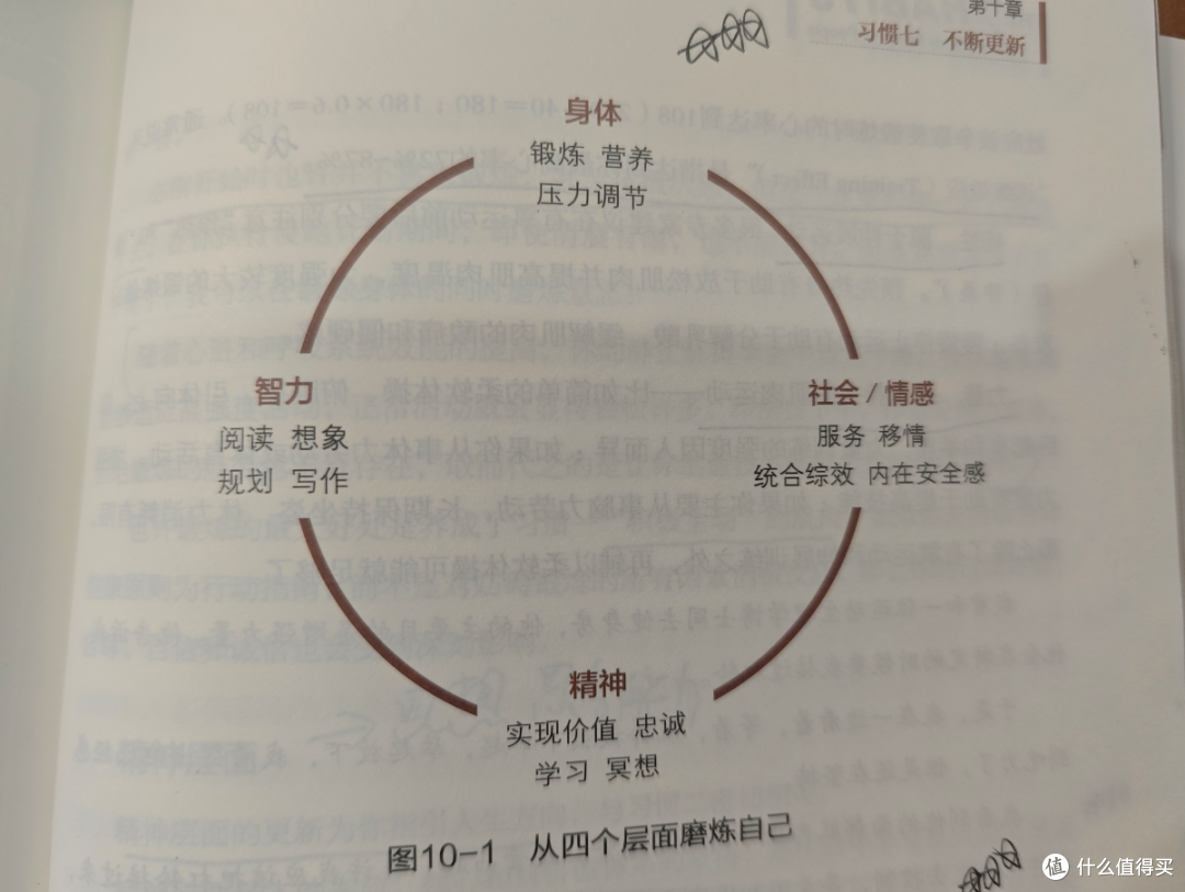 十年八读七个习惯:不是成功学,是底层人生原则,不信你去看!