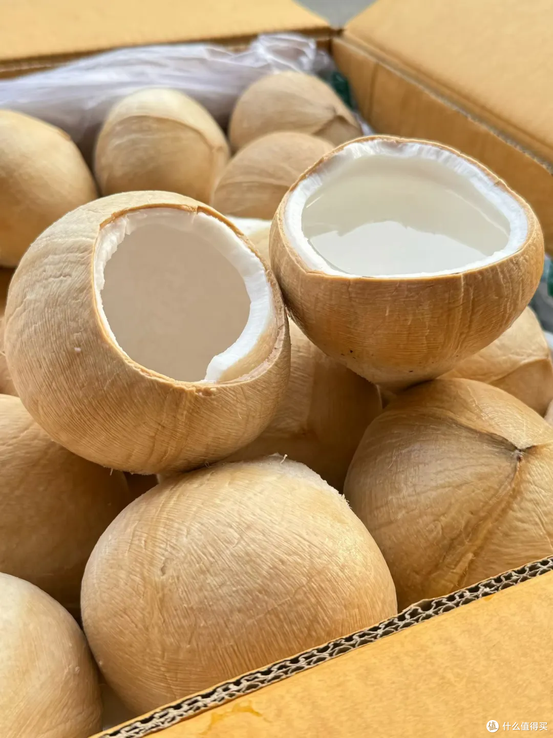 清甜补水好物｜泰国进口椰皇，椰肉细嫩椰水清润