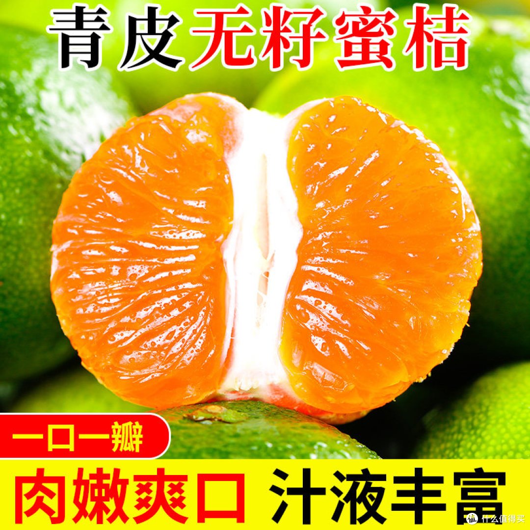 初秋开胃鲜果|宜昌青皮早熟无籽蜜桔实测,现摘薄皮酸甜蜜橘