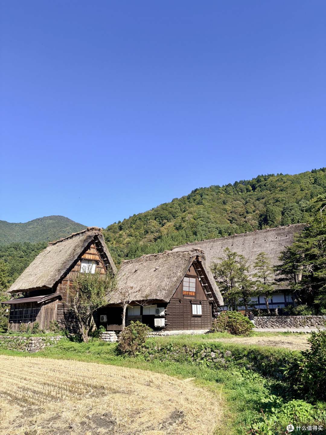 亚运会后,我287元报了个当地老年团 |世界文化遗产:白川乡