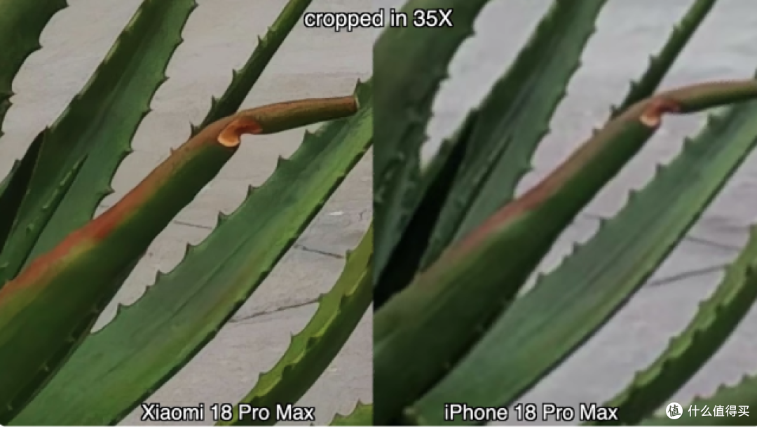 小米18 Pro Max和iPhone18 Pro Max影像对比,5张照片看出差距