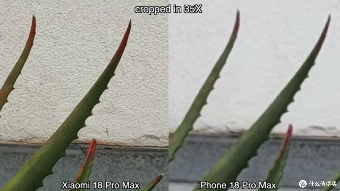 小米18 Pro Max和iPhone18 Pro Max影像对比,5张照片看出差距