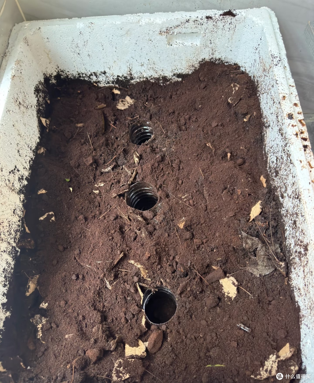 长寿花最爱的肥是“它”,在家就能做,不出2个月花苞一茬接一茬