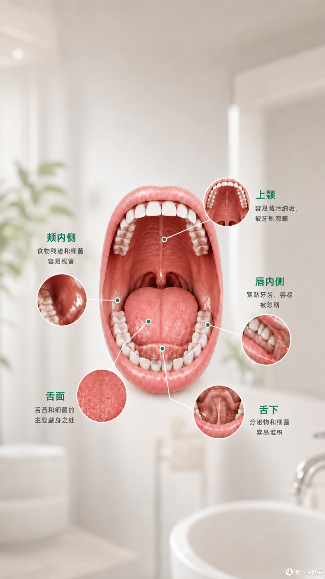 天天刷牙还是觉得“口水臭”?查完资料才懂,问题出在“地形”上