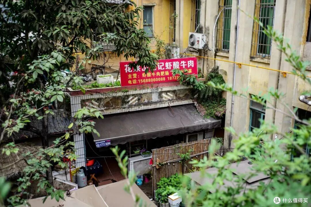 有句话天资比努力更重要,说的就是「老天爷追着喂饭吃」的这座城