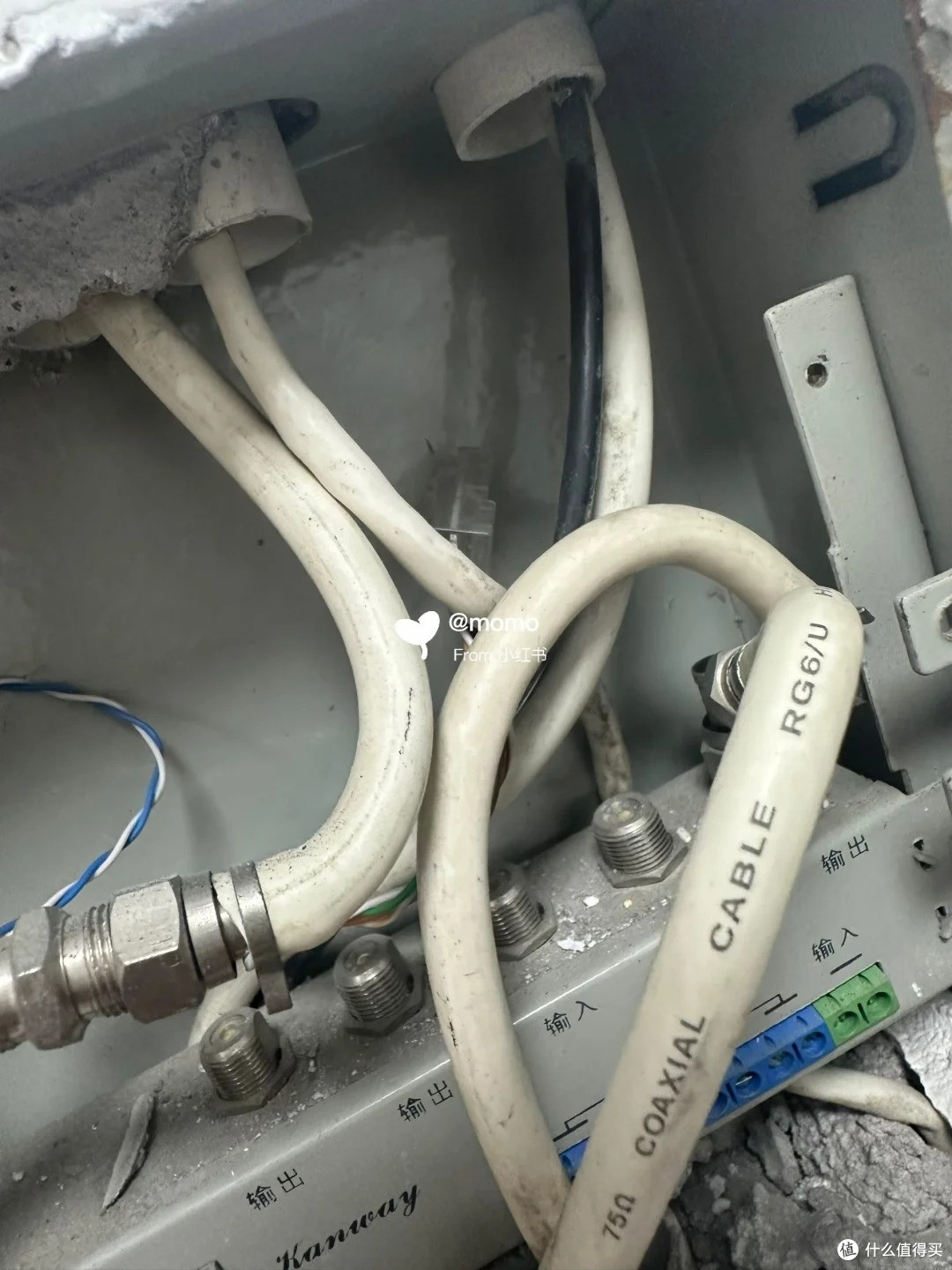 涨经验了!办了千兆宽带实际百兆都跑不到,租房办的宽带这坑哭我