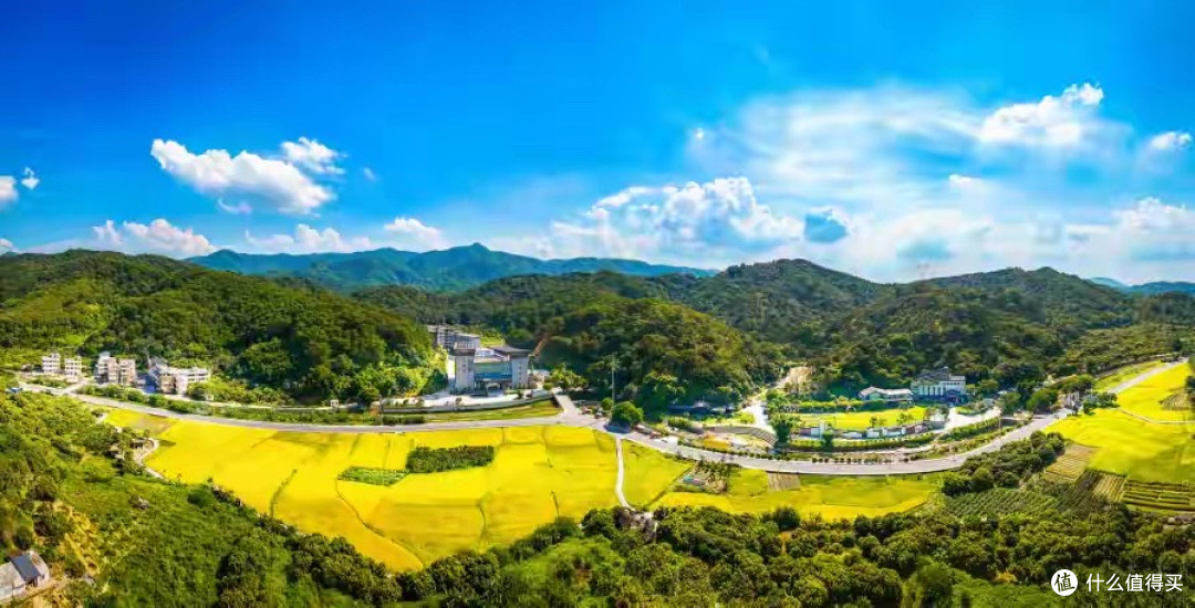 鱼油哪个品牌更安全？六款产品的身份、检测与风险提示核对记录