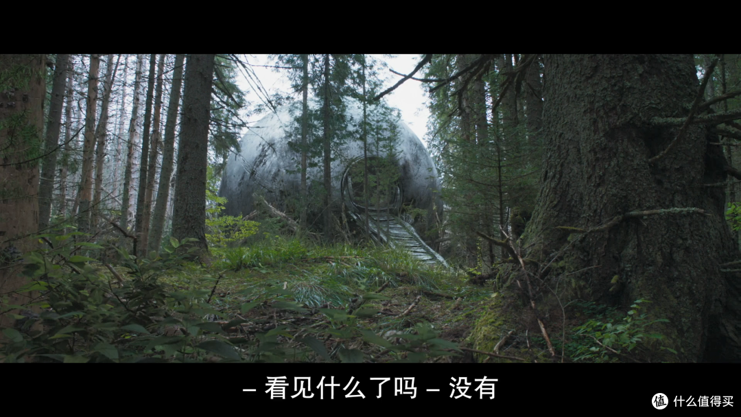 《希望》看的我很绝望。