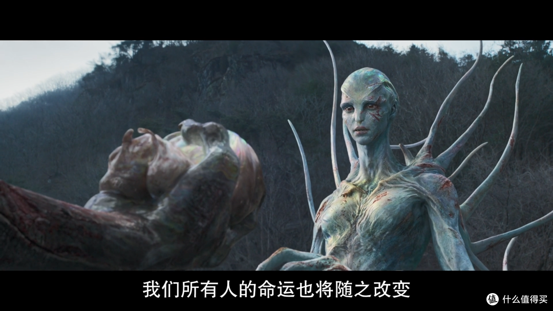 《希望》看的我很绝望。