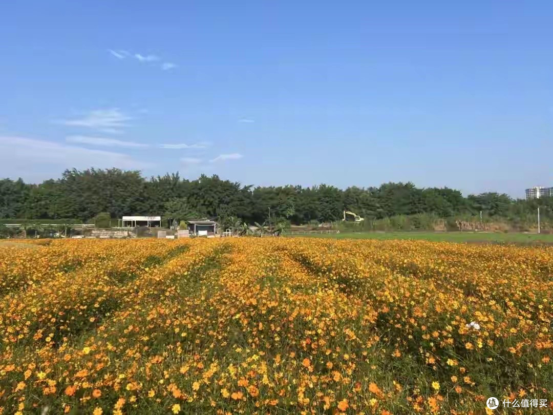 鱼油一次买多少更合适?首次购买和补货其实是两种思路