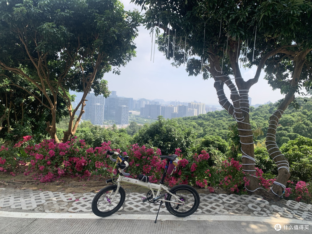 折叠车改弯把,头管角度怎么选?把立长度如何确定?轮组如何选?