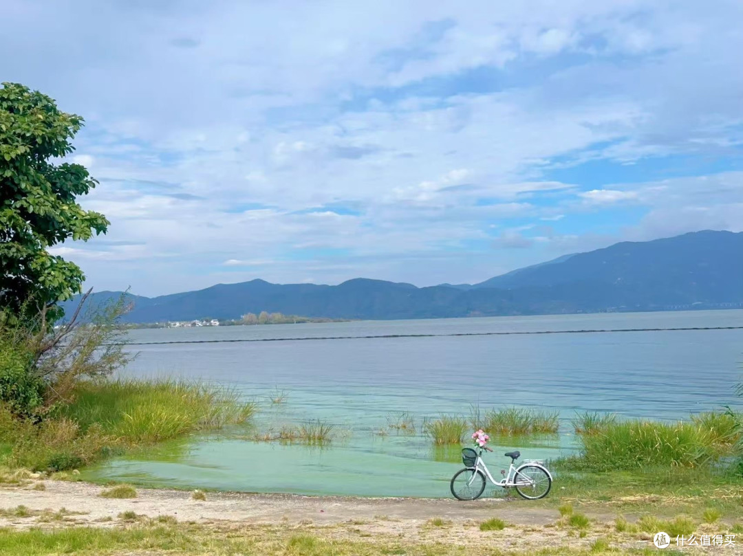 滇西错峰实测：昆明—大理—丽江五天，路线 花费 15个坑一次讲完