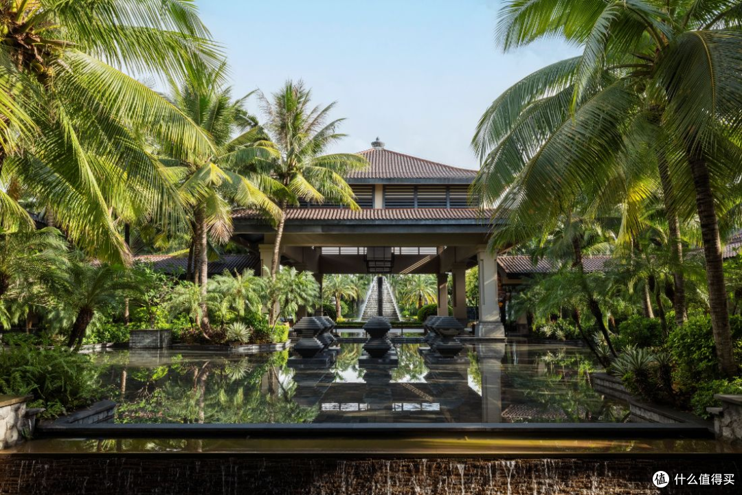 水景、热带植物与建筑，是园区散步时可以留意的画面