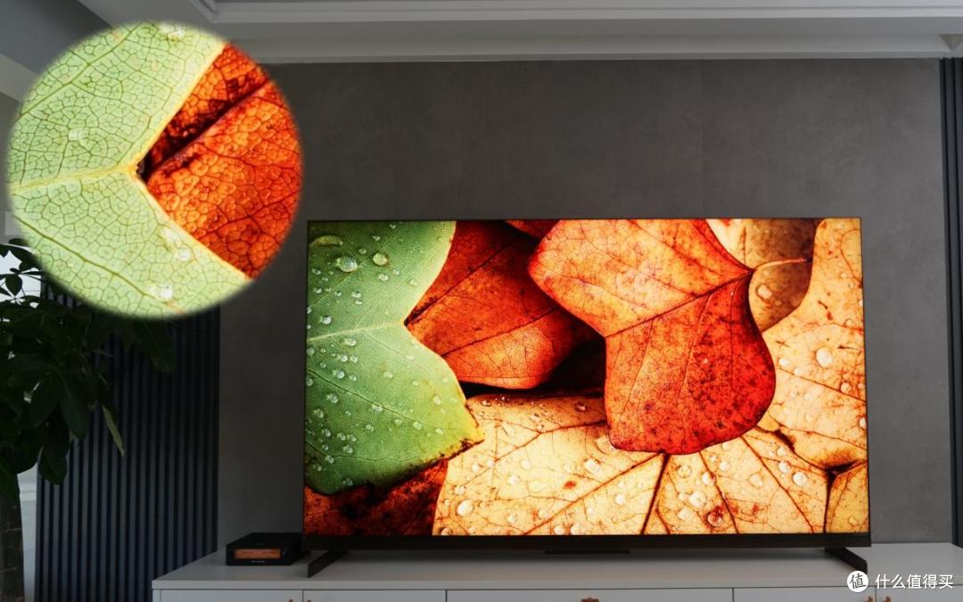 TCL SQD电视画质表现如何?Q10M、Q9M Pro 、T7M Ultra怎么选
