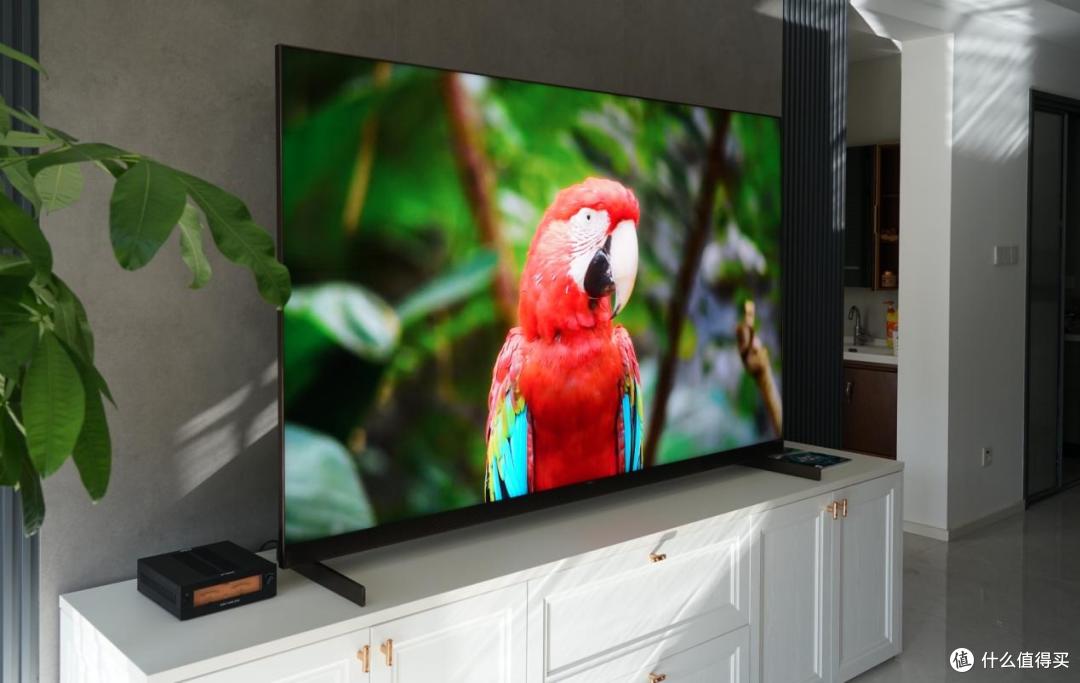 TCL SQD电视画质表现如何?Q10M、Q9M Pro 、T7M Ultra怎么选