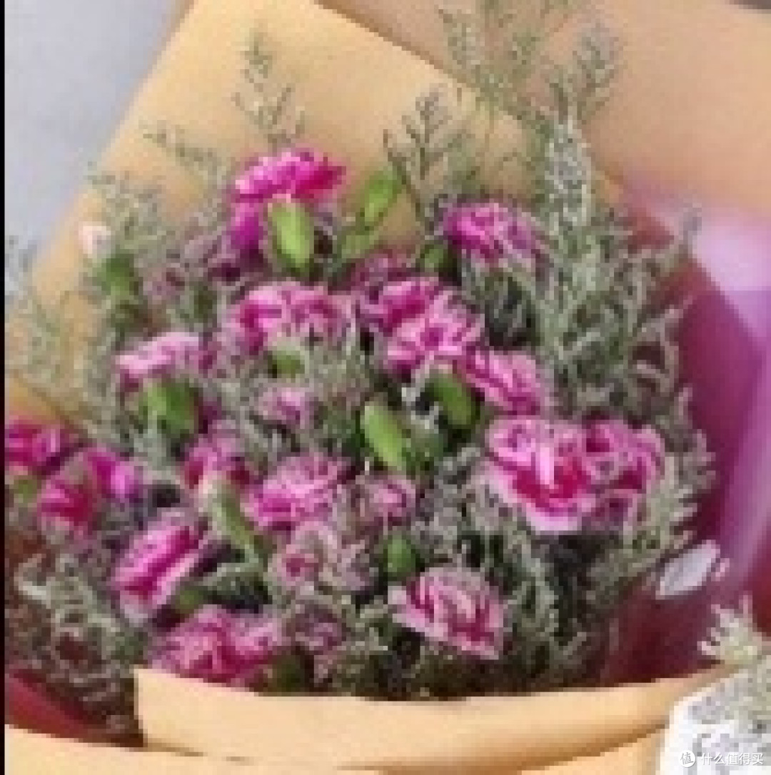 玫瑰花