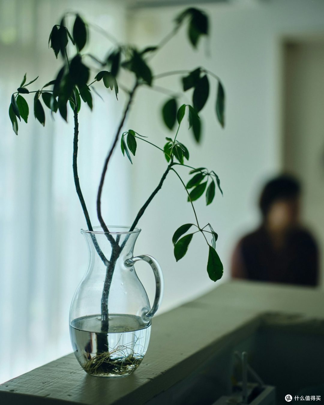 不买、不比、不攀比:中年后最舒服的消费观
