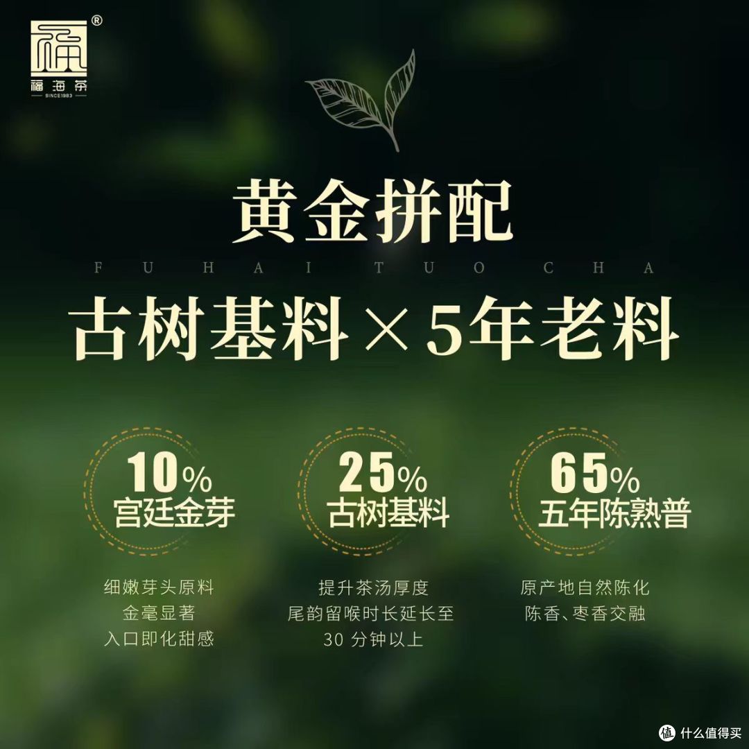福海茶厂陈韵普洱熟沱