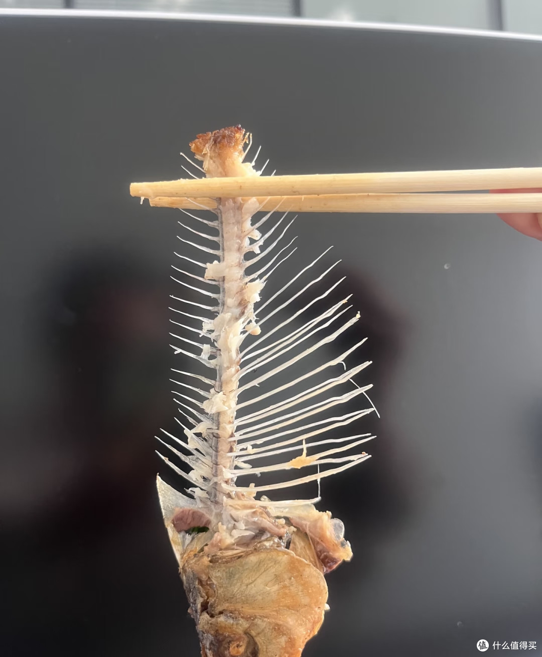 蟹爪兰最爱的3种天然肥，1个月用1次，花苞又大又密，见花不见叶
