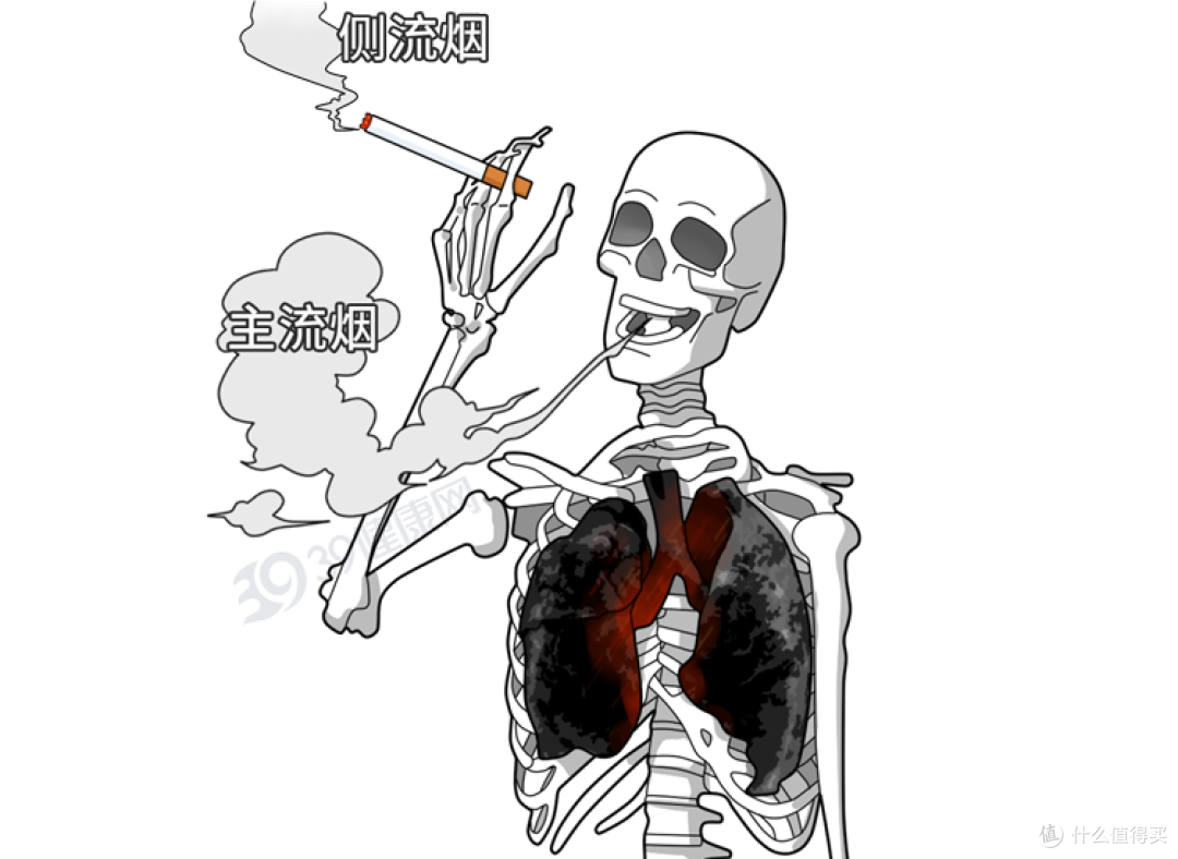 香烟要被洗白?中科院颠覆性研究:尼古丁或能抗衰?告诉你真相