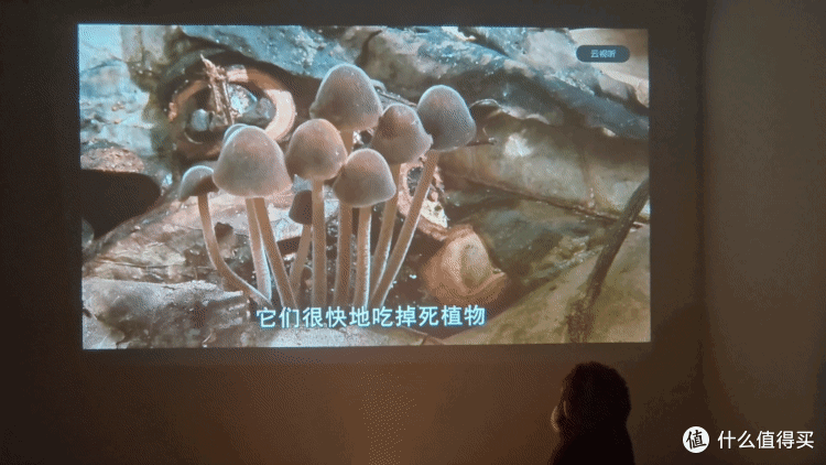 有电视机还需要投影仪吗?高性价比投影仪:GlowBox小光盒R1实测
