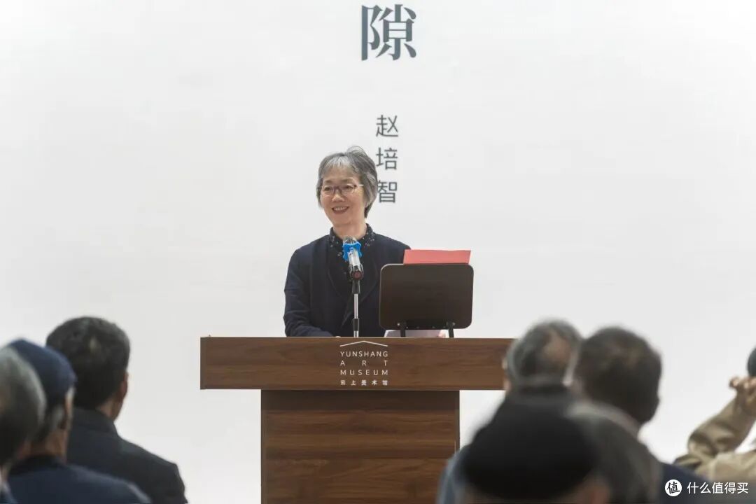 开幕式 | 群山之隙——赵培智个人展览在京启幕