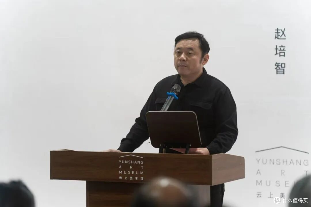 开幕式 | 群山之隙——赵培智个人展览在京启幕