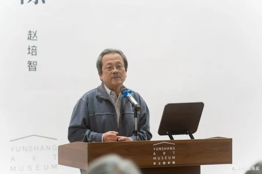 开幕式 | 群山之隙——赵培智个人展览在京启幕