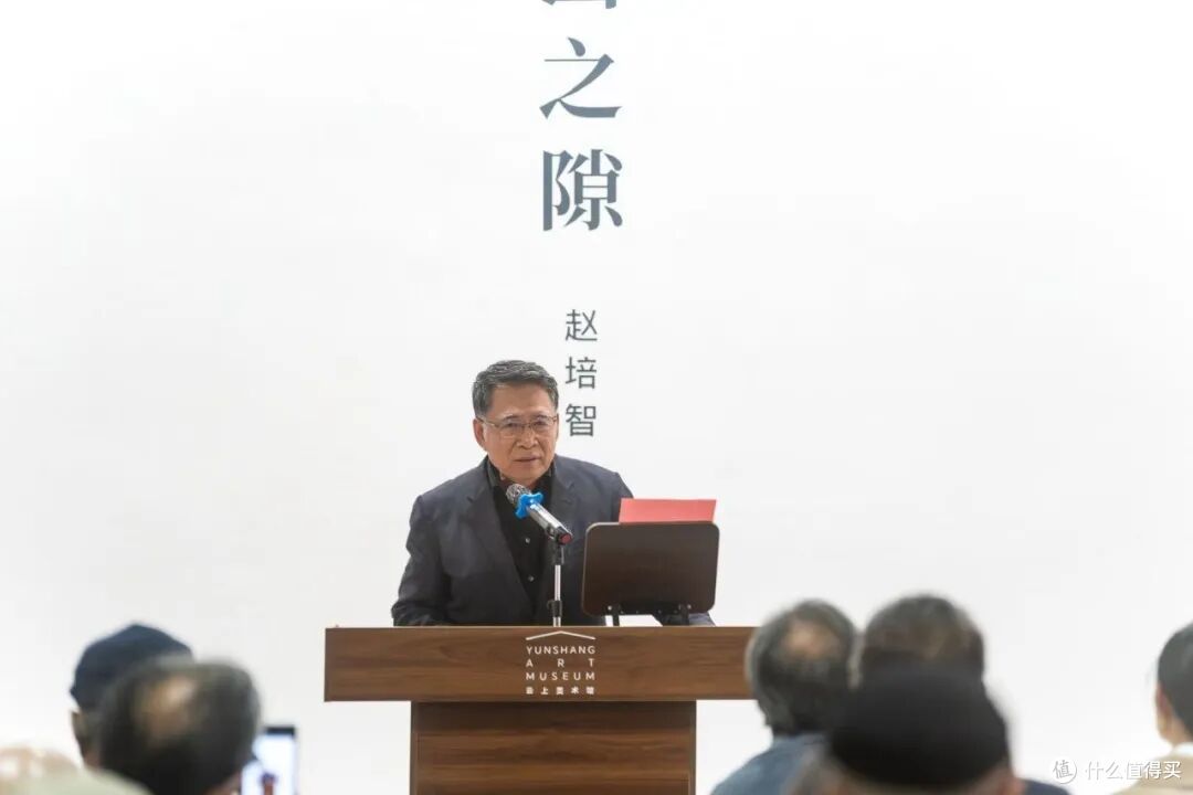 开幕式 | 群山之隙——赵培智个人展览在京启幕