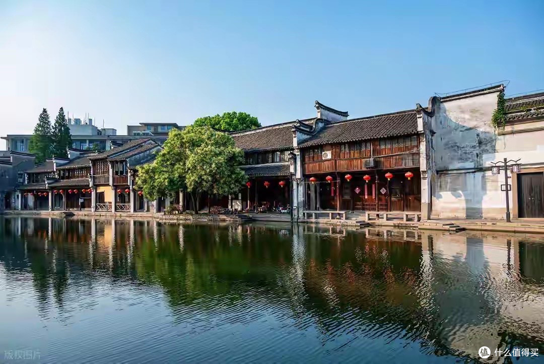 搜伽马氨基丁酸该看什么,十款产品标签数据梳理