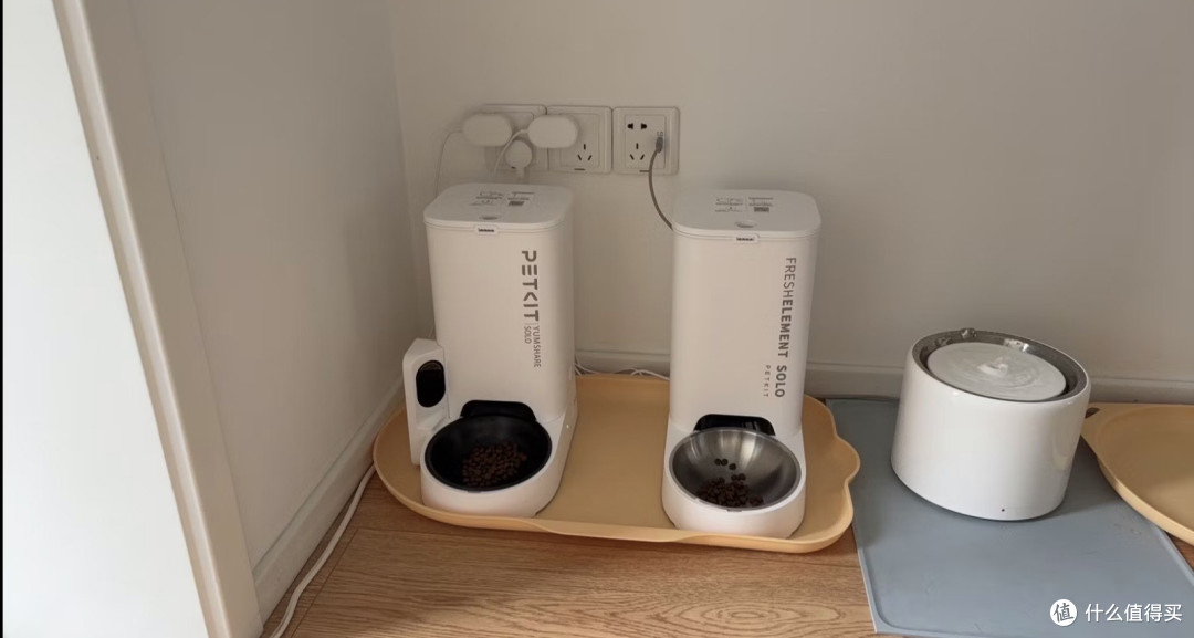 我把猫的命交给了一台299块的机器，它满粮提示空桶，一粒没出
