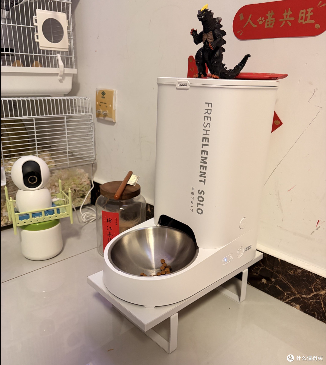 我把猫的命交给了一台299块的机器，它满粮提示空桶，一粒没出