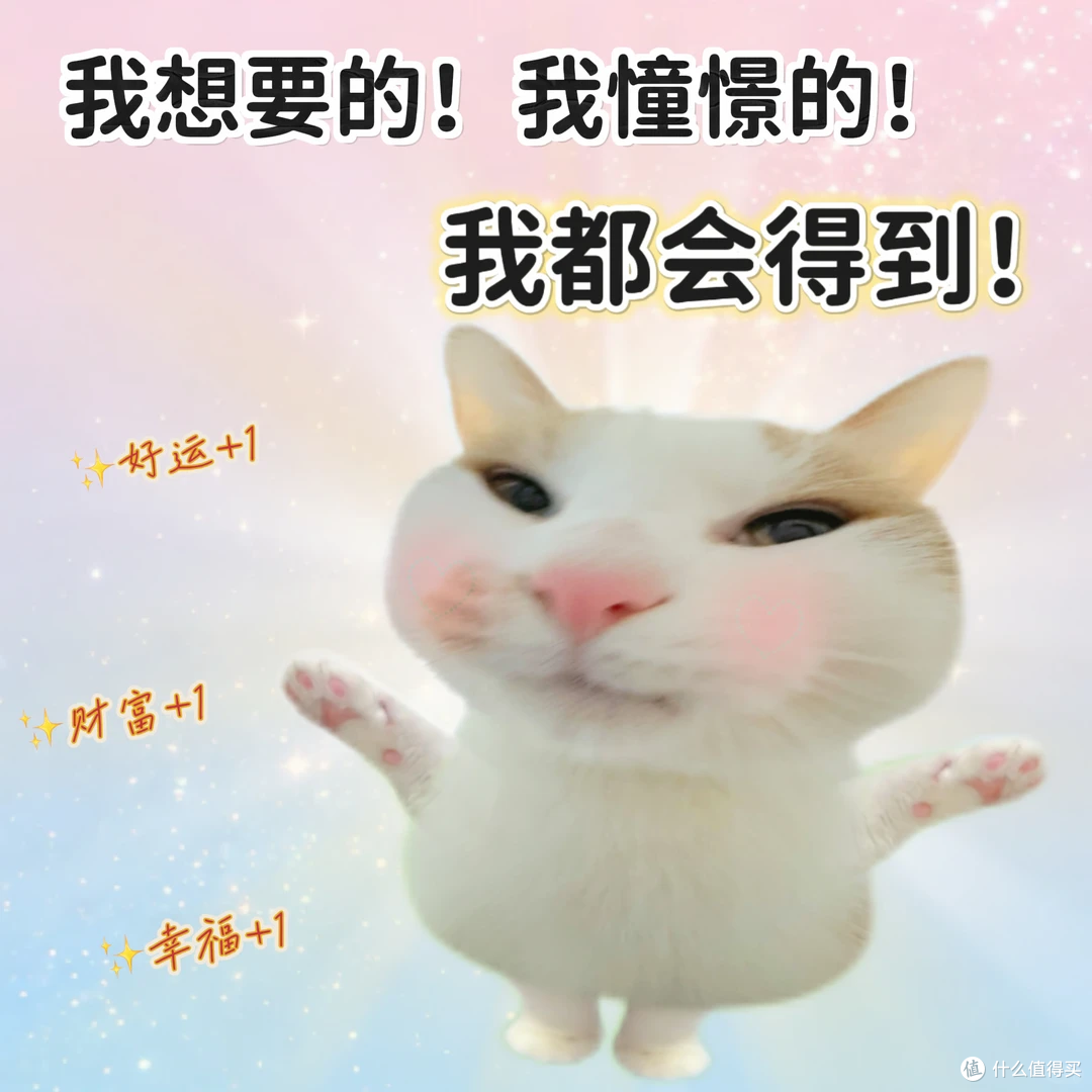 男人三宝:NAS、路由、充电头?中年男人的消费降级,怎么越降越贵