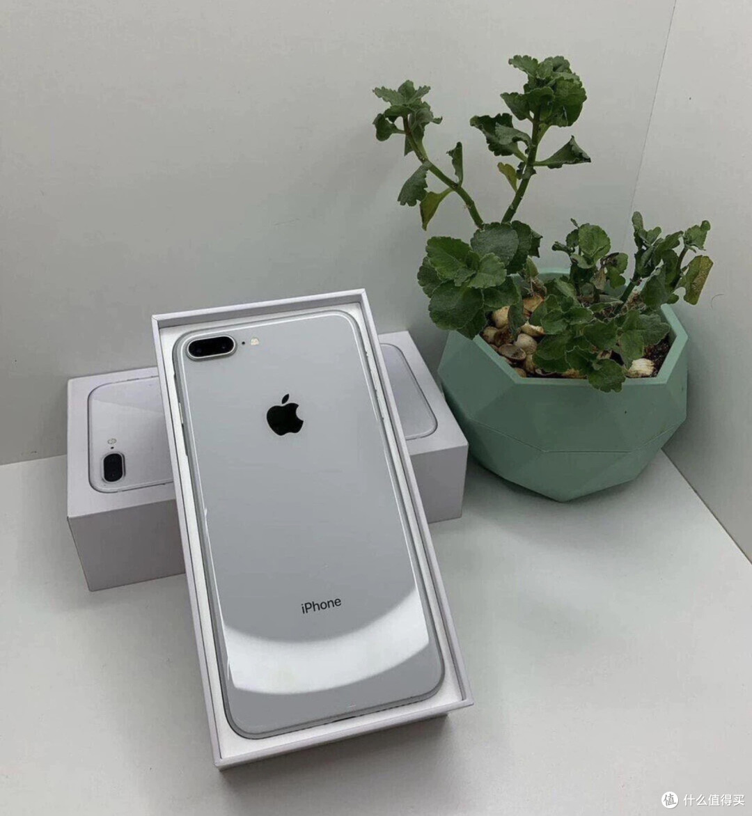300块的iPhone 8 Plus,是过时电子垃圾,还是百元档游戏备用机?