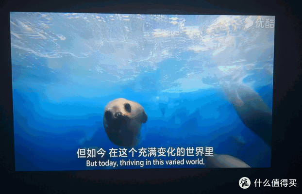 不想举着手机追剧了,小光盒R1让卧室多点意思