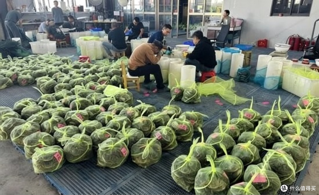 大闸蟹跌到5元一只,这波该不该囤