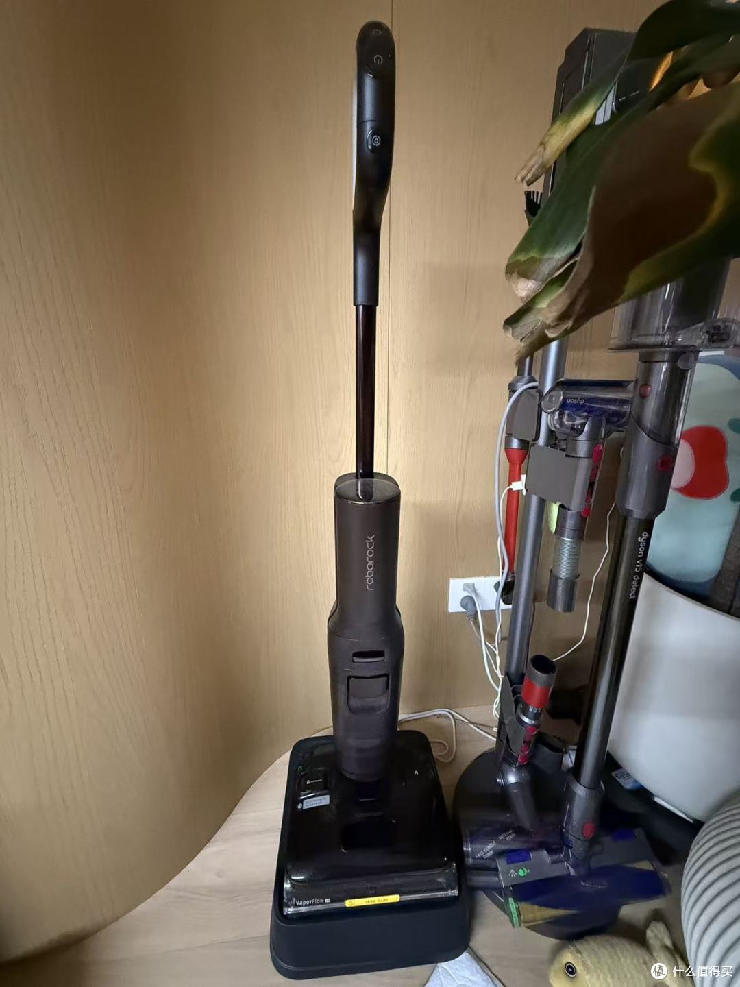 养猫家庭实测石头A30 Pro Steam 2