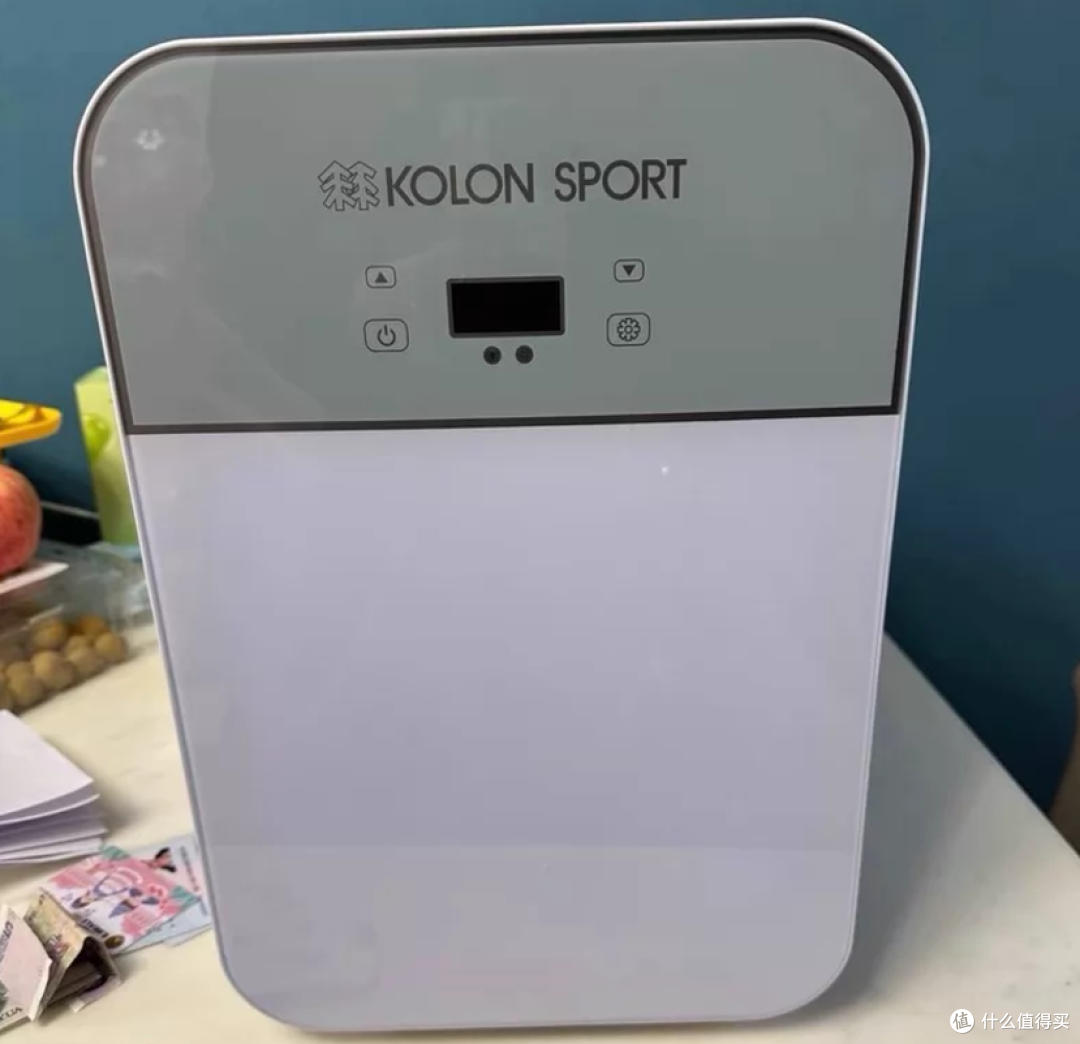 二手鱼出现大量可隆车载冰箱,20L最低卖150,支持冷暖两用