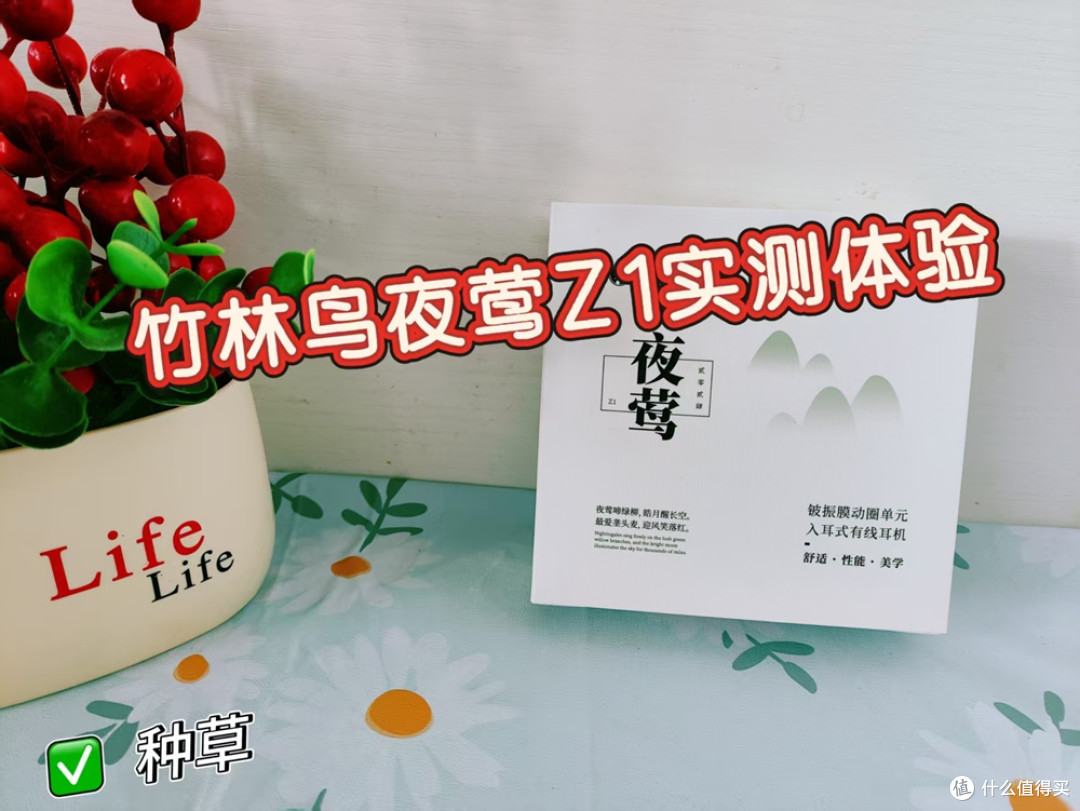 我终于找到了一副能戴着睡觉的耳机!竹林鸟夜莺Z1实测体验!