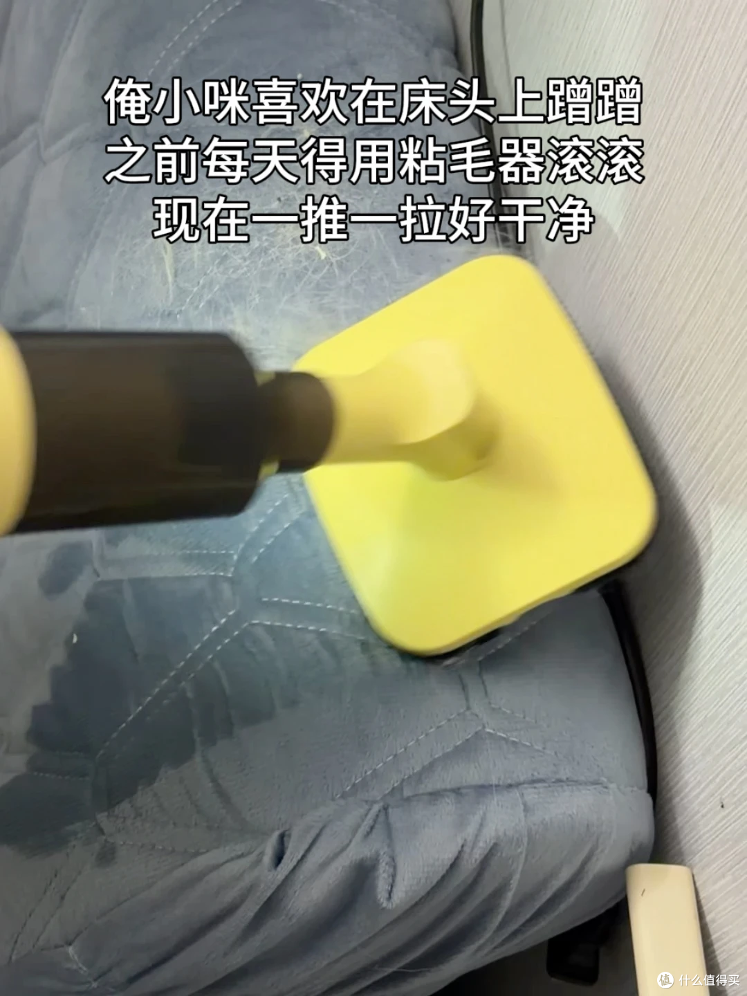 猫毛每天都要清,用哪种工具最省事?4种清洁工具实测