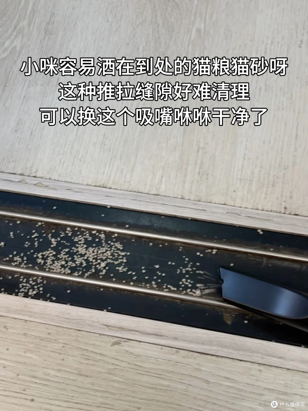 猫毛每天都要清,用哪种工具最省事?4种清洁工具实测