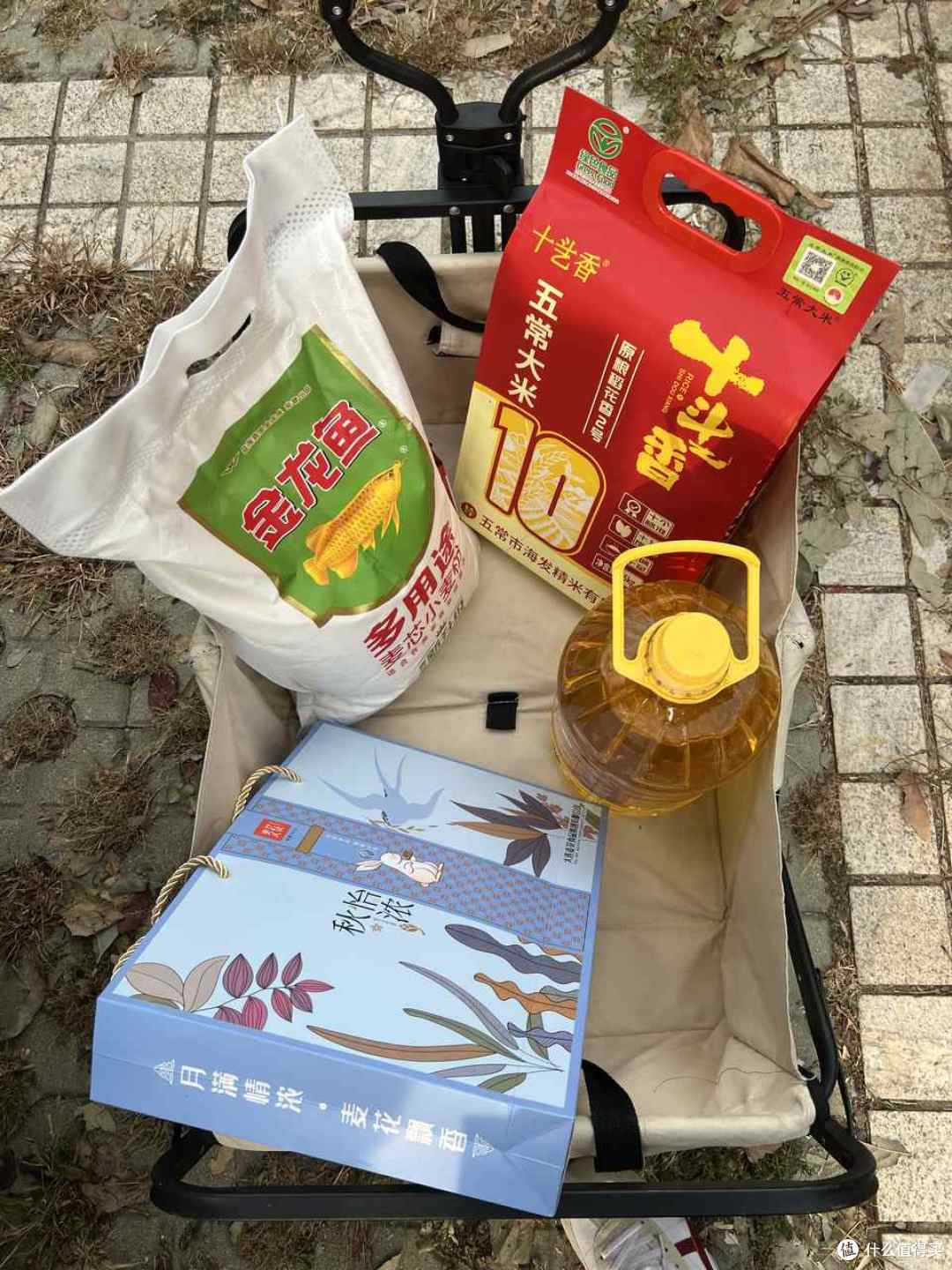 网购这7样都是我吃过亏的,树苗亏得最狠